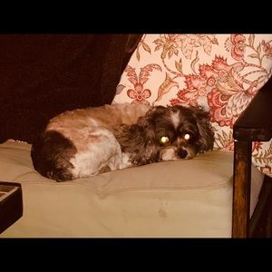 Meet your Posher, Nathalie